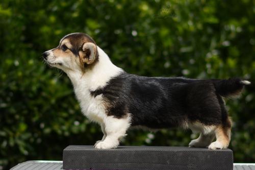 27299378 c1d3b7eee4d46c1ac6ef455ecf61e08e xl