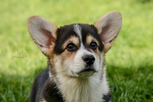 27299382 38dc5bbf7f9afd3542beed4c423007e5 xl