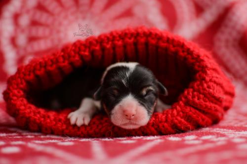 27268602 bde5eb0d5b804805ea67234b0b78633f xl