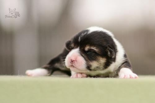 27272028 9ed35349d3ba10cf81f835183a4af780 xl