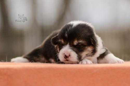 27280146 313fe979946077cc7c75da020ab99520 xl