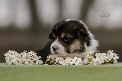 27280148 8e2c541ec4c187c539107713e26e58b7 xl