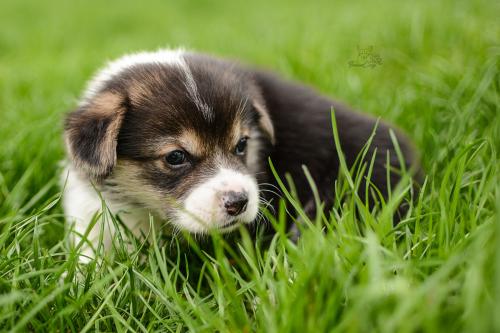 27280150 c60414e4e7f1c9b1a1a3a1856bbe417d xl