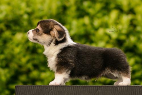 27282144 5bd20dcbc0f3ea626fd3d50181e1c749 xl