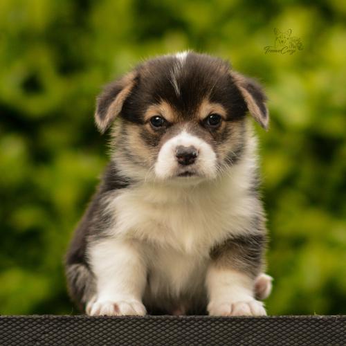 27282146 da0242901cb53b0f9b22bdd2ba9592a7 xl