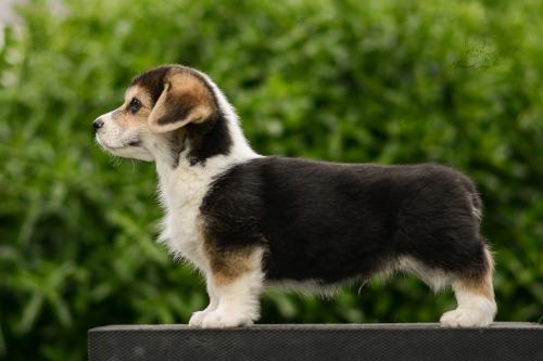 27290284 f651434b24248e16ea815f1a2c5a07be xl