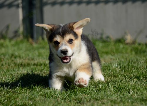 27290312 947c9d566dc03f01b060154f9d90566f xl