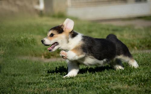 27290314 331025d40bc106c0164efcf25e542183 xl