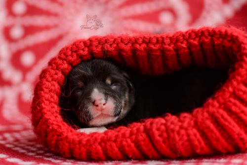 27268616 2852429e96785abb0e569ab52e74954e xl