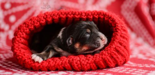 27268630 eab10347cad2f7ea06b418e788f1d016 xl