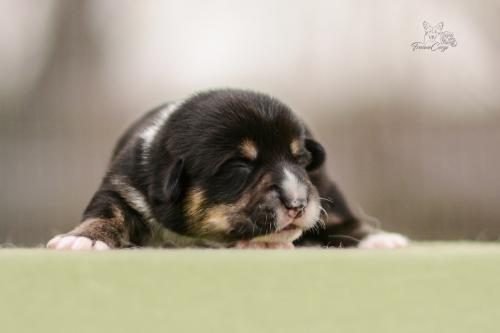 27272032 95e7907b49e4672bc4eef2eb124178bc xl