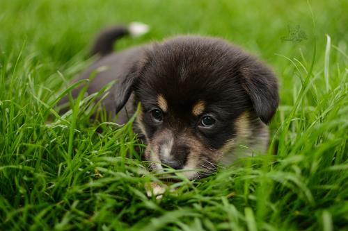 27280152 c7871b5cca28ca84d09c5c86241b5ab9 xl