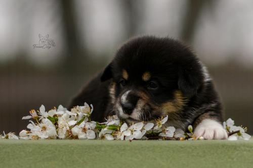 27280154 0126635c6e038b289280b57691f89b66 xl