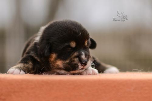 27280156 0df0be4a7fe70211dcd87dbe995e27c4 xl