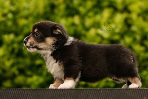 27282152 c59dda3d2019edc5ff4d7e0112c24409 xl