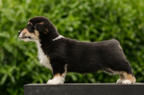 27290292 e9db76c53bf11c52bcb8ce797d45c654 xl