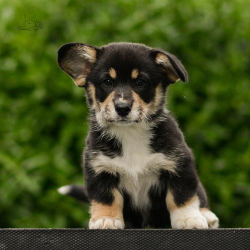 27290294 0b42d6c249478964e5f7f6e3c0d533af xl