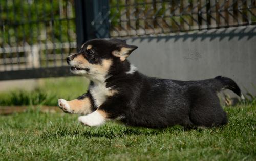 27290300 41ee9ac9ba7f87e16a7e98512c5f68de xl