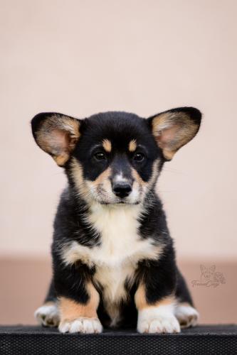 27290302 5a1fc848c874e01d022e83c02abf342b xl