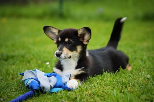 27299384 af2bba71d325b4173db685b9d97fb00a xl