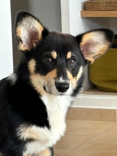 449685772 1881666762301442 8046197902371424787 n