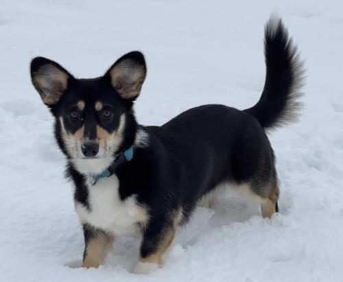 474224126 1338544340480024 1378672941787357752 n