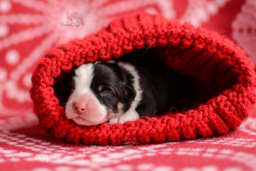 27268626 6708c58d2f7e65eb248810620ad7cff3 xl