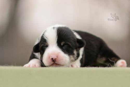 27272030 1e0c285a3e1325cfe00f2244cd53b878 xl