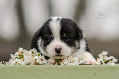 27280158 4e6b3c8d104a70f47247b4305211e771 xl