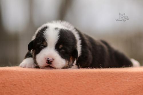 27280160 9dfb8d26b6999b0f95557dbe891b5dfb xl