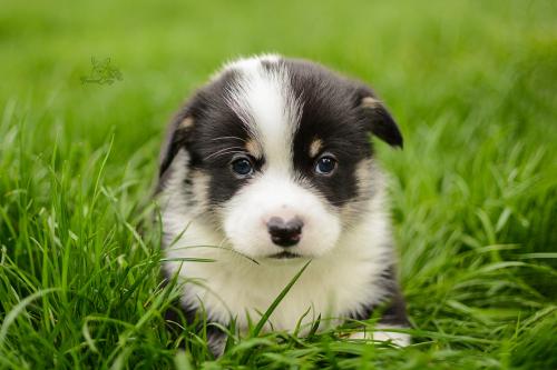 27280162 a6edb9c8dffa0e1de24ed491aace6663 xl