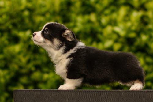 27282148 828d26f343a64c9c6e615132b3785451 xl