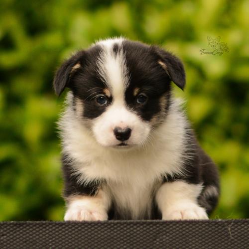 27282150 8825c5ead76c4e01ca83067dd8ca5917 xl