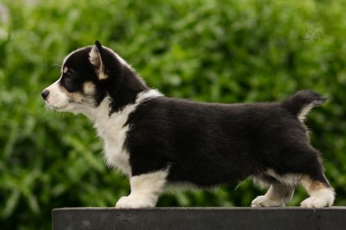 27290290 300a29070a2b53c95f2ae764cb8d1740 xl