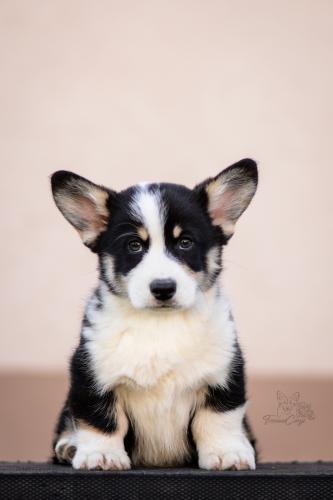 27290304 478d5862093bfc591b6c61049c75e662 xl