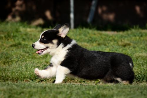 27290306 ec970e5b69f40acf82406d47d339b41f xl