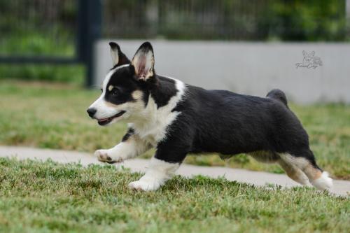 27299386 2febac93b7a1002e5c83f0e74248be0c xl