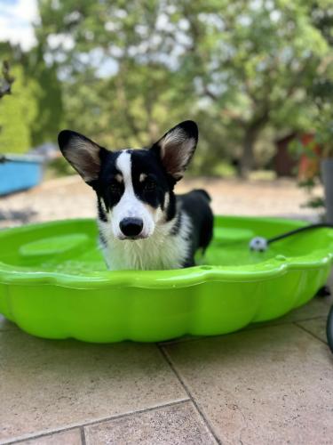 449088626 1168471690966258 2705390016596126113 n