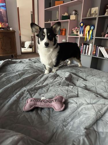 476449966 1307477576962003 2778481431582148374 n