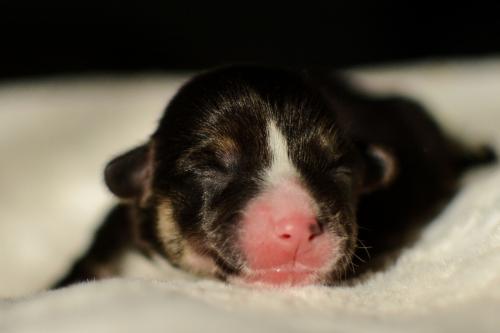 27352510 1ec0174fdd451d13b731a30230e0ca54 xl