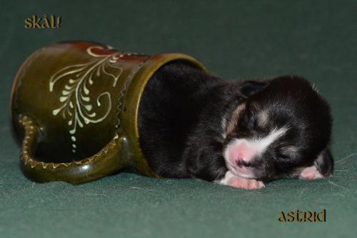 27352540 b523c5c24eb6e44c2cd1453b9e7637bc xl