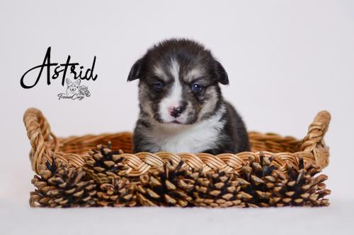 27355392 6c4a2d18466b6874e8944dc842aed4e8 xl