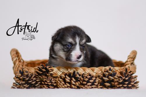 27355394 2ce2474c80237261ece913a61802242f xl