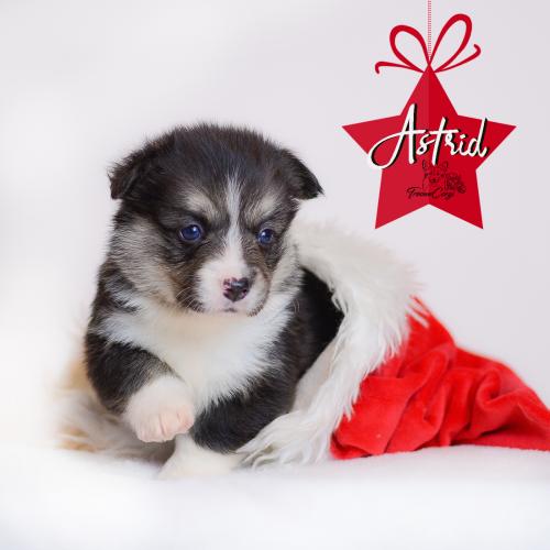 27360678 4842509b9f899eed69022986e2c847ca xl