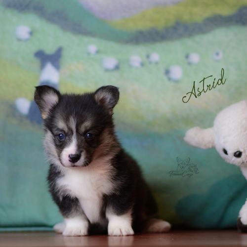 27360700 87cd140795968af3d04a3f43347483c6 xl