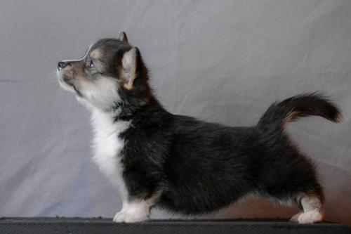 27360740 2bd5b2720294c7cbf59a9702eee83899 xl