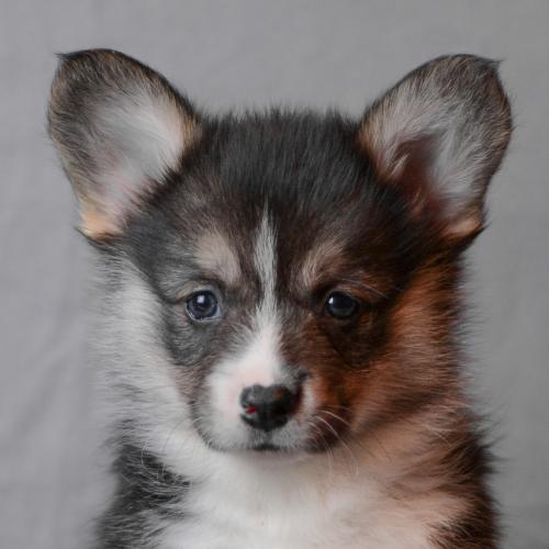 27360742 3d2d902e874f9fc872b551974112e546 xl