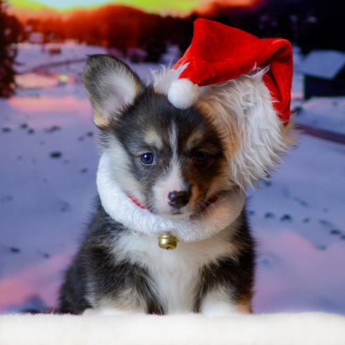 27360770 6f37d76f48fb4524d5f4195e07724143 xl