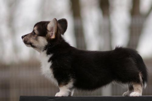 27363844 47e1b1a6610cfc339f7a99bd62c1d343 xl