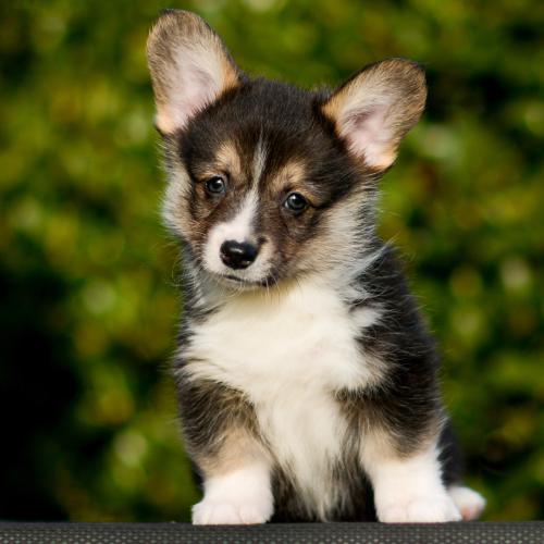 27363846 02a0996fbc9f41ed6503e5d8798cd03d xl